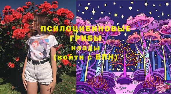 синтетический гашиш Алексин