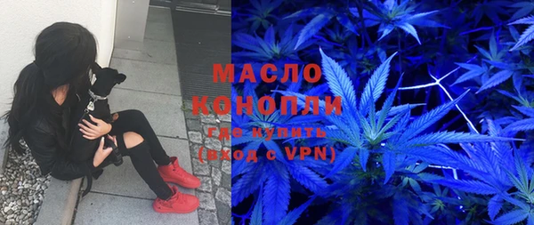 гашик Алексеевка