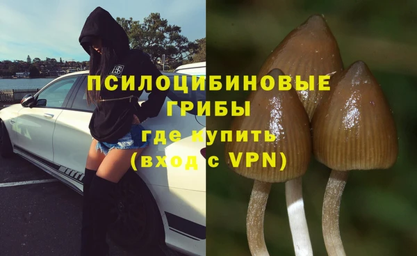 синтетический гашиш Алексин